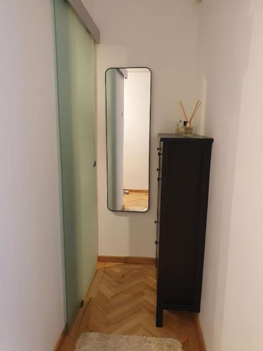 Spacious And Quiet 1Br Apartment In Floreasca Bucureşti Eksteriør bilde